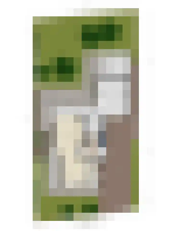 Velduil 13 Bunschoten-Spakenburg thumbnail 69
