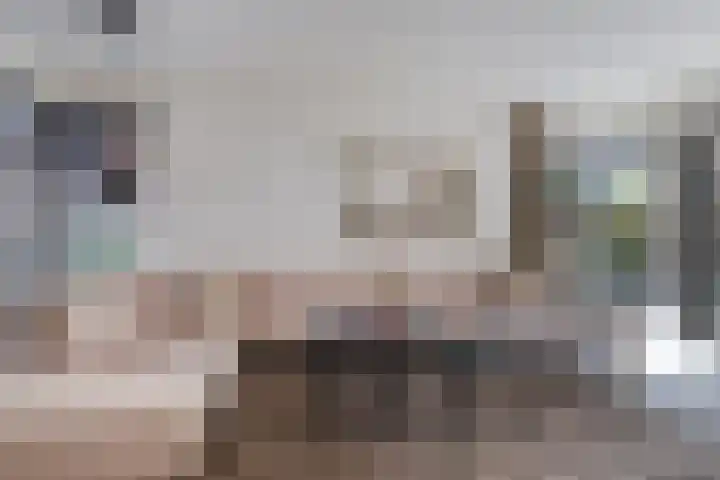 Velduil 13 Bunschoten-Spakenburg thumbnail 8
