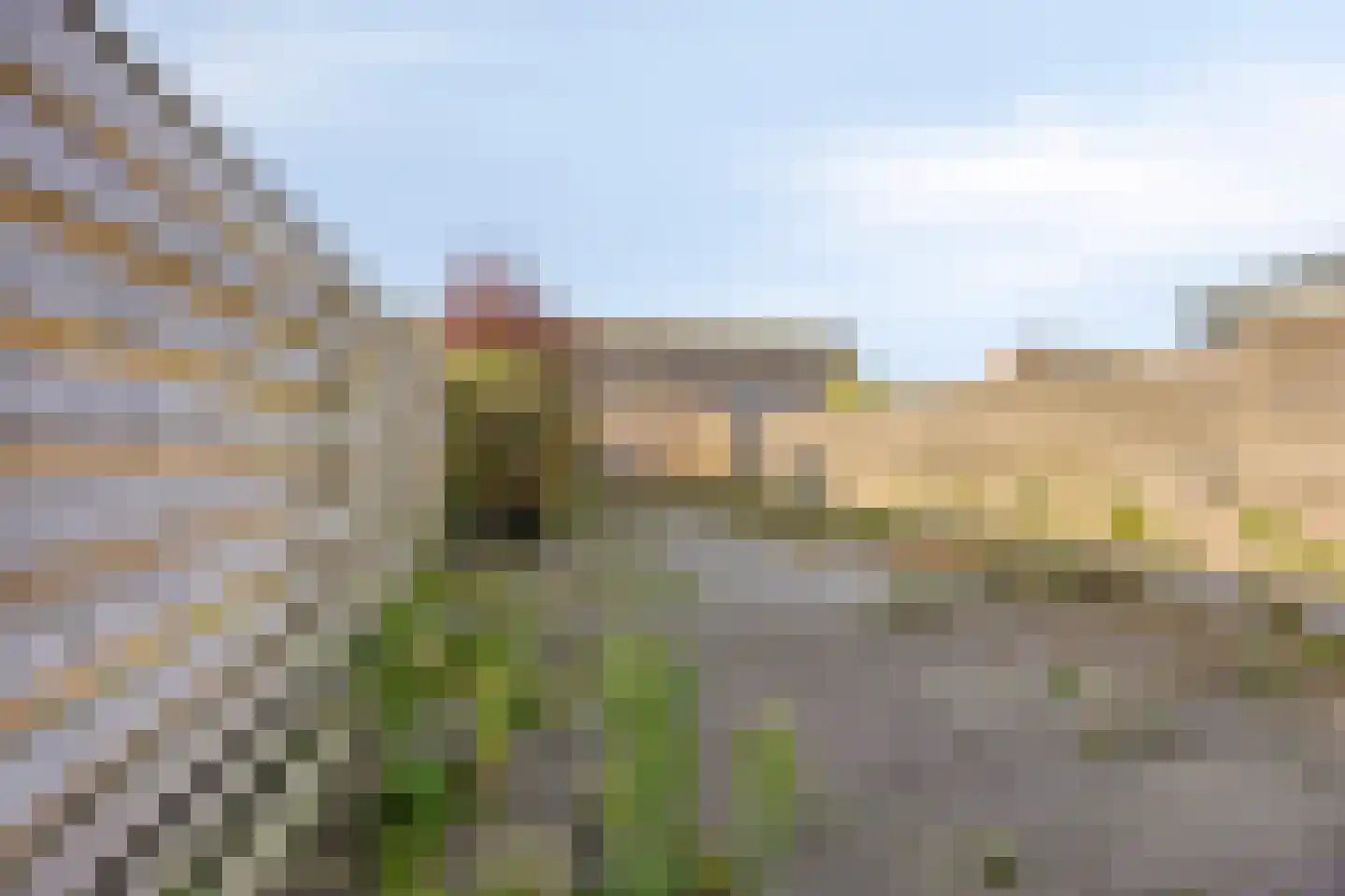Velduil 13 Heerhugowaard thumbnail 25