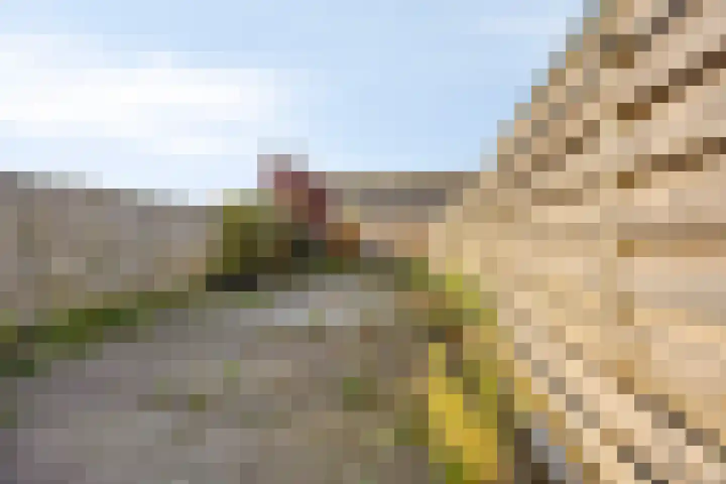 Velduil 13 Heerhugowaard thumbnail 26