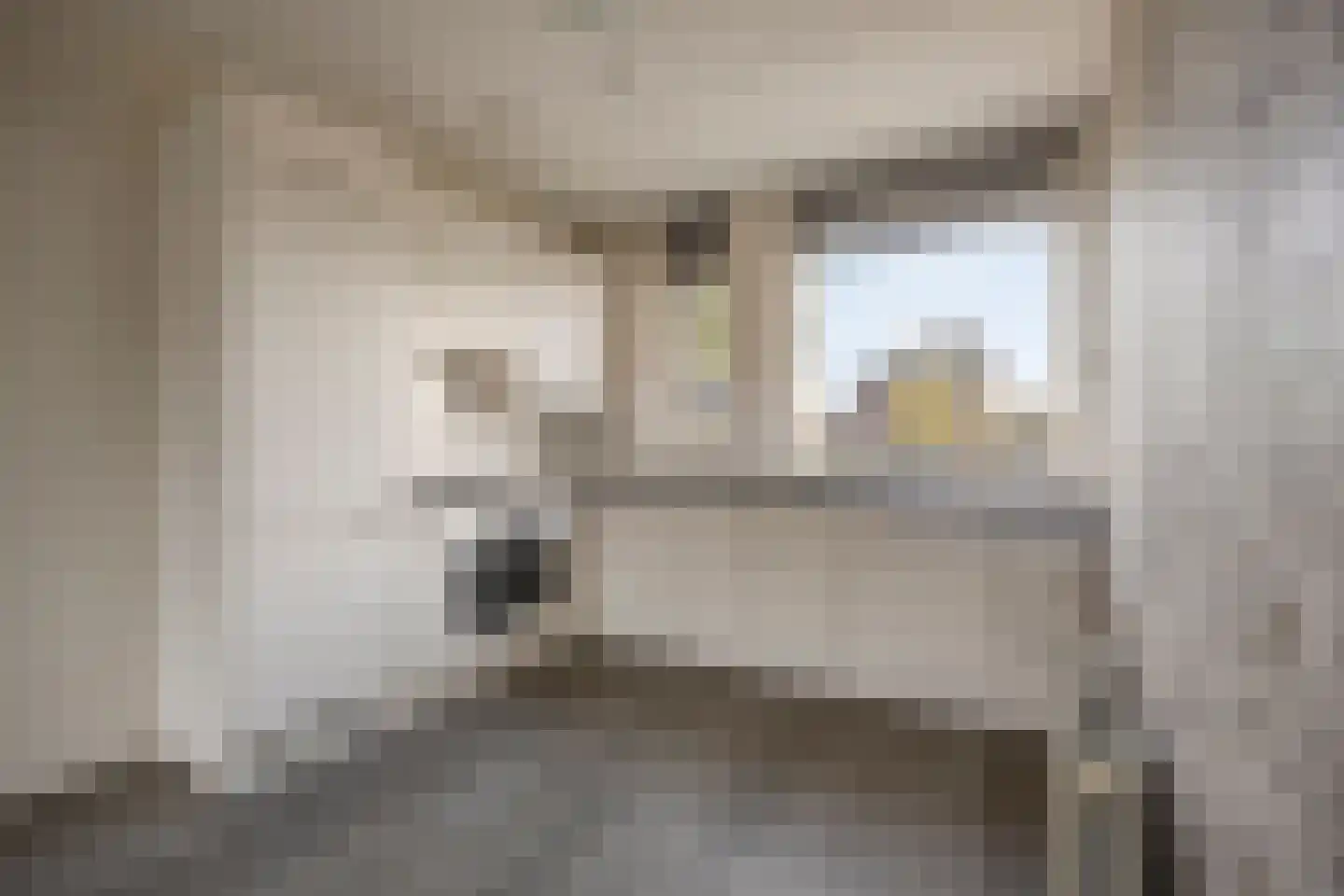 Velduil 13 Heerhugowaard thumbnail 8