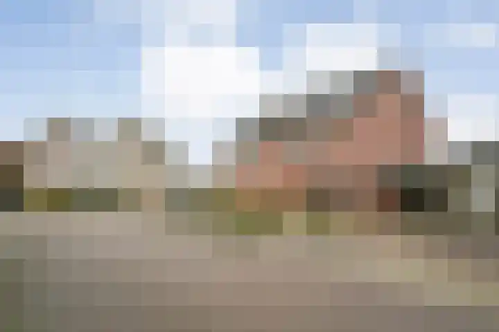 Velduil 18 Raalte thumbnail 11