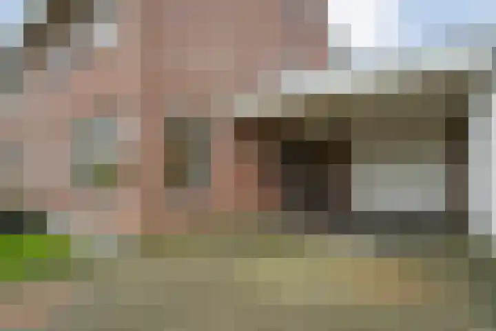 Velduil 18 Raalte thumbnail 12