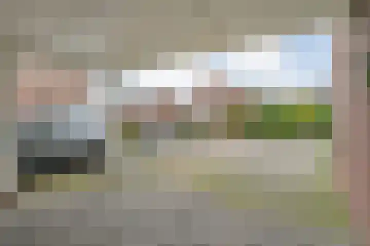 Velduil 18 Raalte thumbnail 13