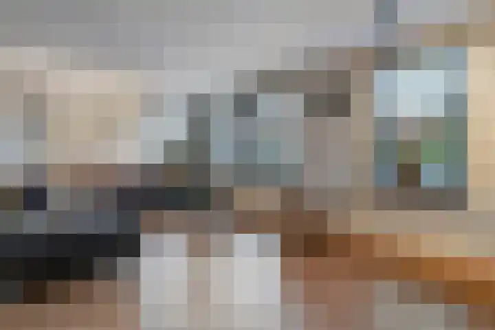 Velduil 18 Raalte thumbnail 16