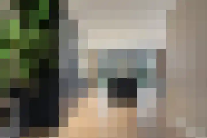 Velduil 18 Raalte thumbnail 19