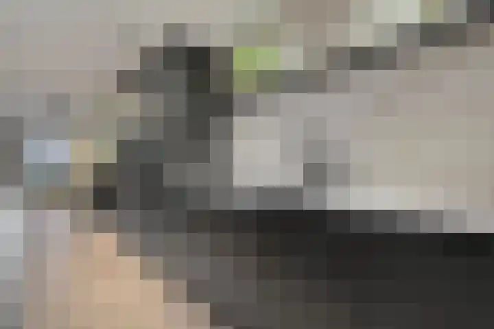 Velduil 18 Raalte thumbnail 21