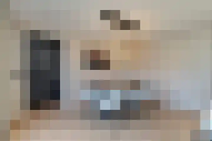 Velduil 18 Raalte thumbnail 23
