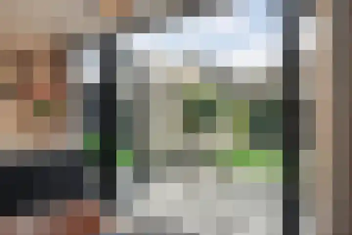 Velduil 18 Raalte thumbnail 24