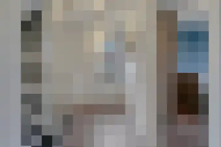 Velduil 18 Raalte thumbnail 32