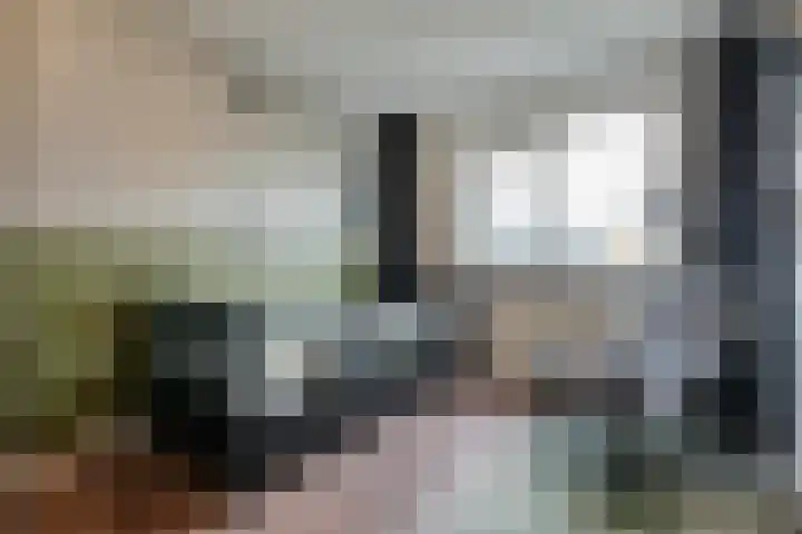 Velduil 18 Raalte thumbnail 35