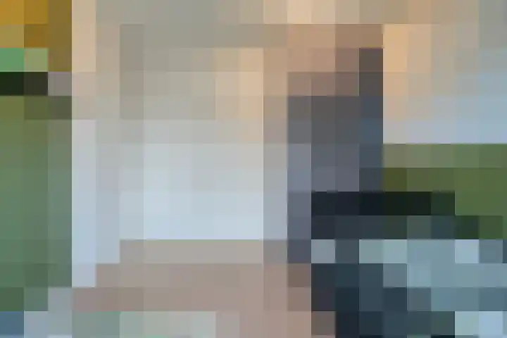 Velduil 18 Raalte thumbnail 36