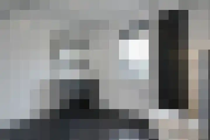 Velduil 18 Raalte thumbnail 39