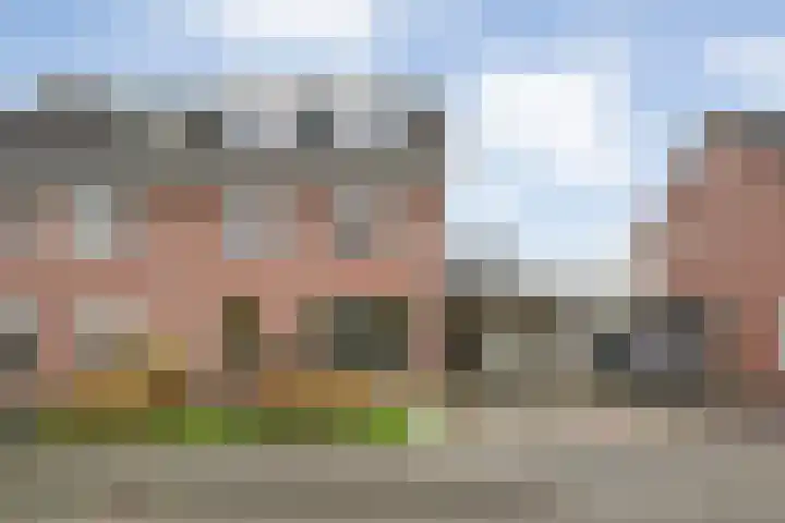 Velduil 18 Raalte thumbnail 4