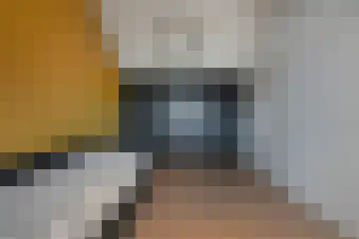 Velduil 18 Raalte thumbnail 44