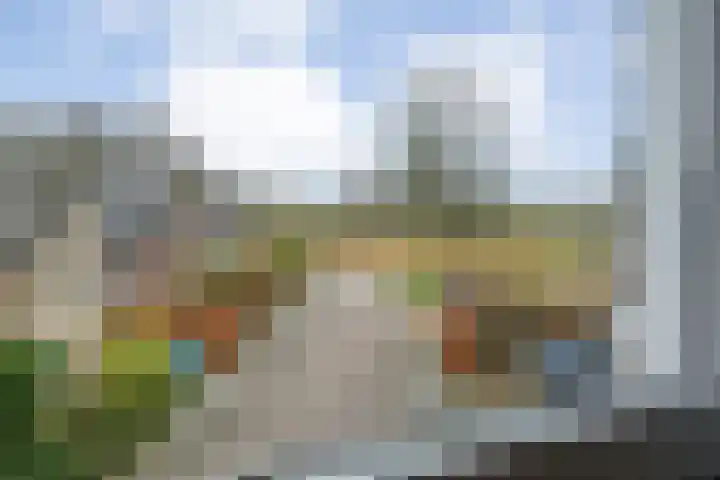 Velduil 18 Raalte thumbnail 45