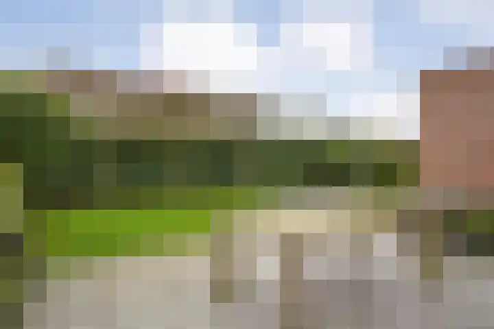 Velduil 18 Raalte thumbnail 46