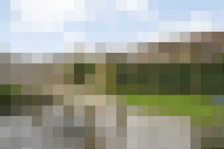 Velduil 18 Raalte thumbnail 47