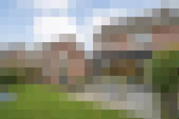 Velduil 18 Raalte thumbnail 48