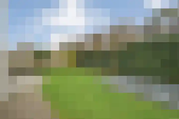 Velduil 18 Raalte thumbnail 49