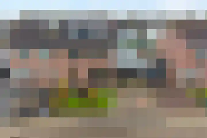 Velduil 18 Raalte thumbnail 5