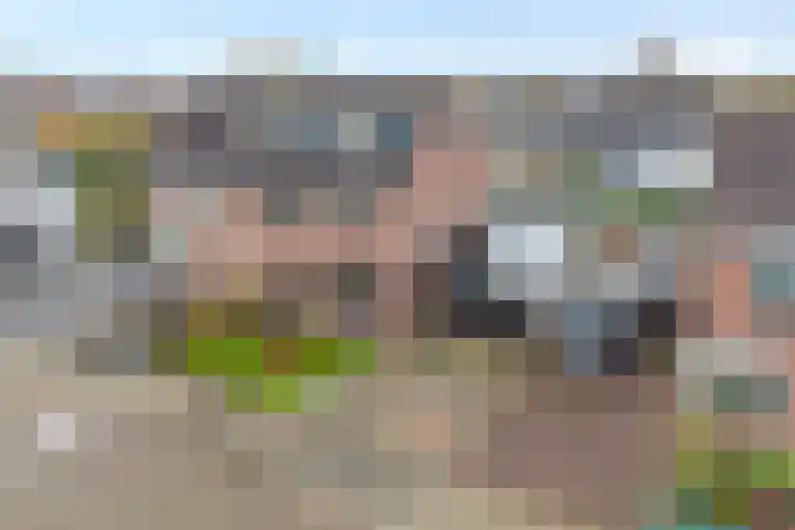 Velduil 18 Raalte thumbnail 6