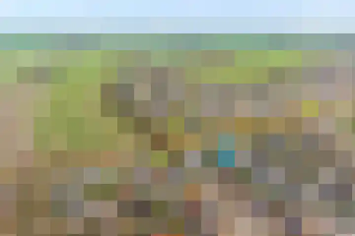 Velduil 18 Raalte thumbnail 7