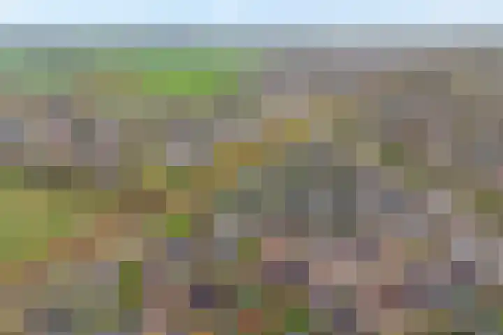 Velduil 18 Raalte thumbnail 8