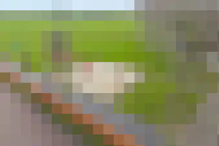 Velduil 18 Raalte thumbnail 9