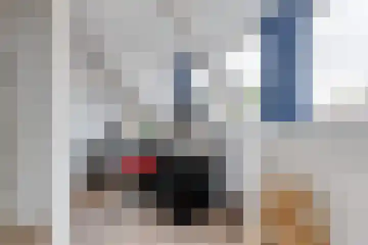 Velduil 2 Nieuwegein thumbnail 30