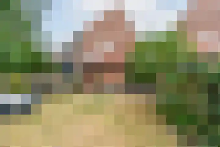 Velduil 2 Nieuwegein thumbnail 33