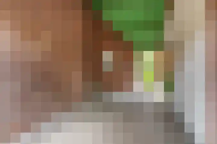 Velduil 2 Nieuwegein thumbnail 35