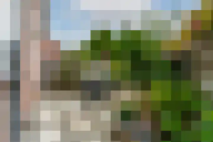 Velduil 2 Nieuwegein thumbnail 36