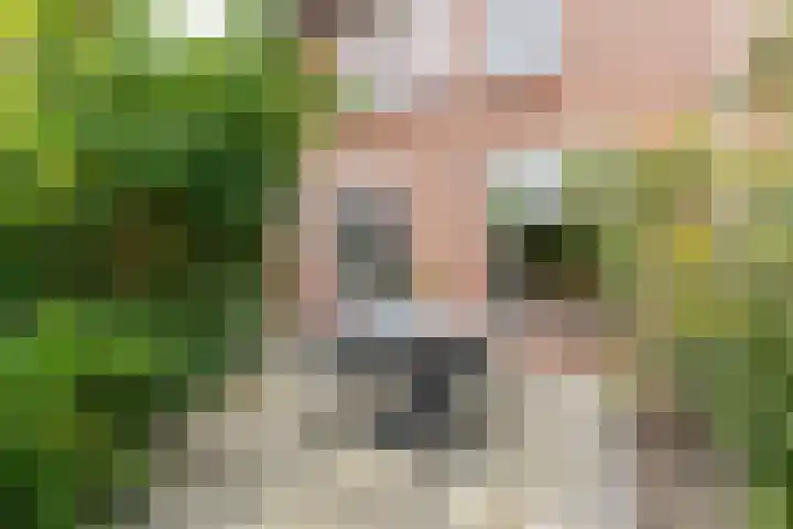 Velduil 2 Nieuwegein thumbnail 37