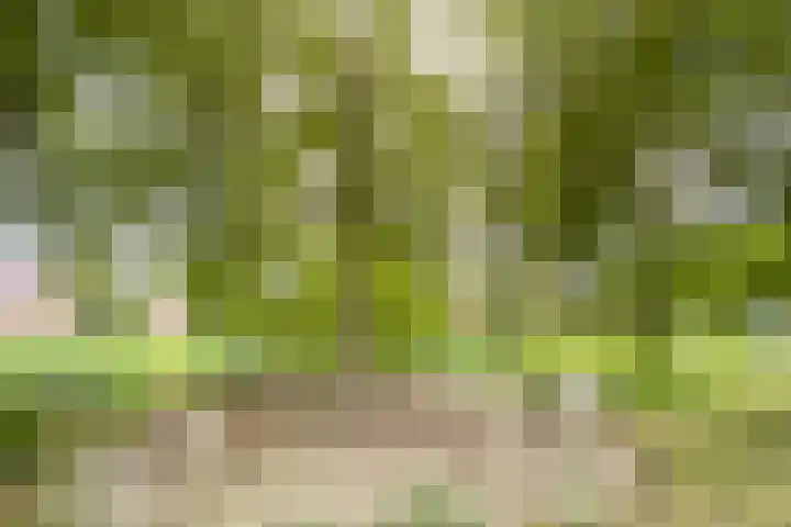Velduil 2 Nieuwegein thumbnail 38