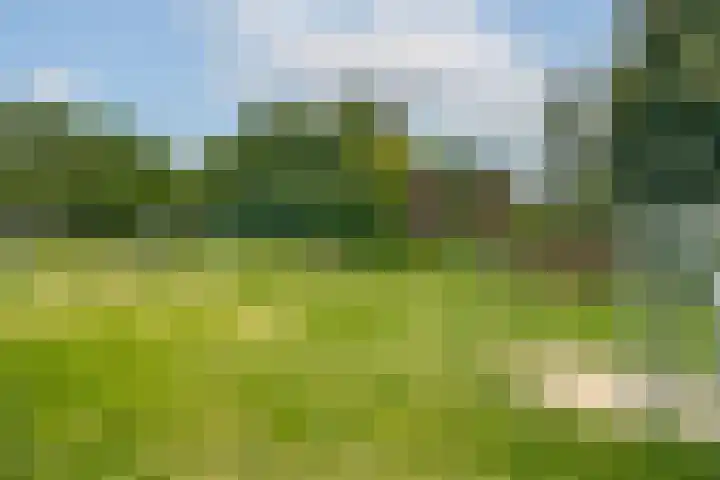 Velduil 2 Nieuwegein thumbnail 39
