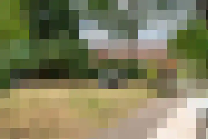 Velduil 2 Nieuwegein thumbnail 5
