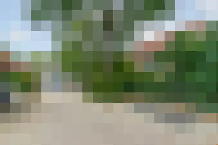 Velduil 2 Nieuwegein thumbnail 6