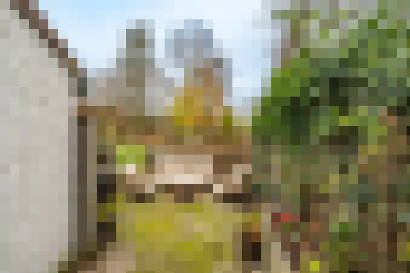 Velduil 20 Nieuwegein thumbnail 15