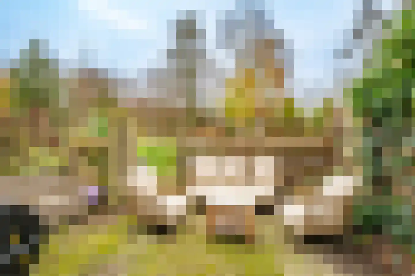 Velduil 20 Nieuwegein thumbnail 16