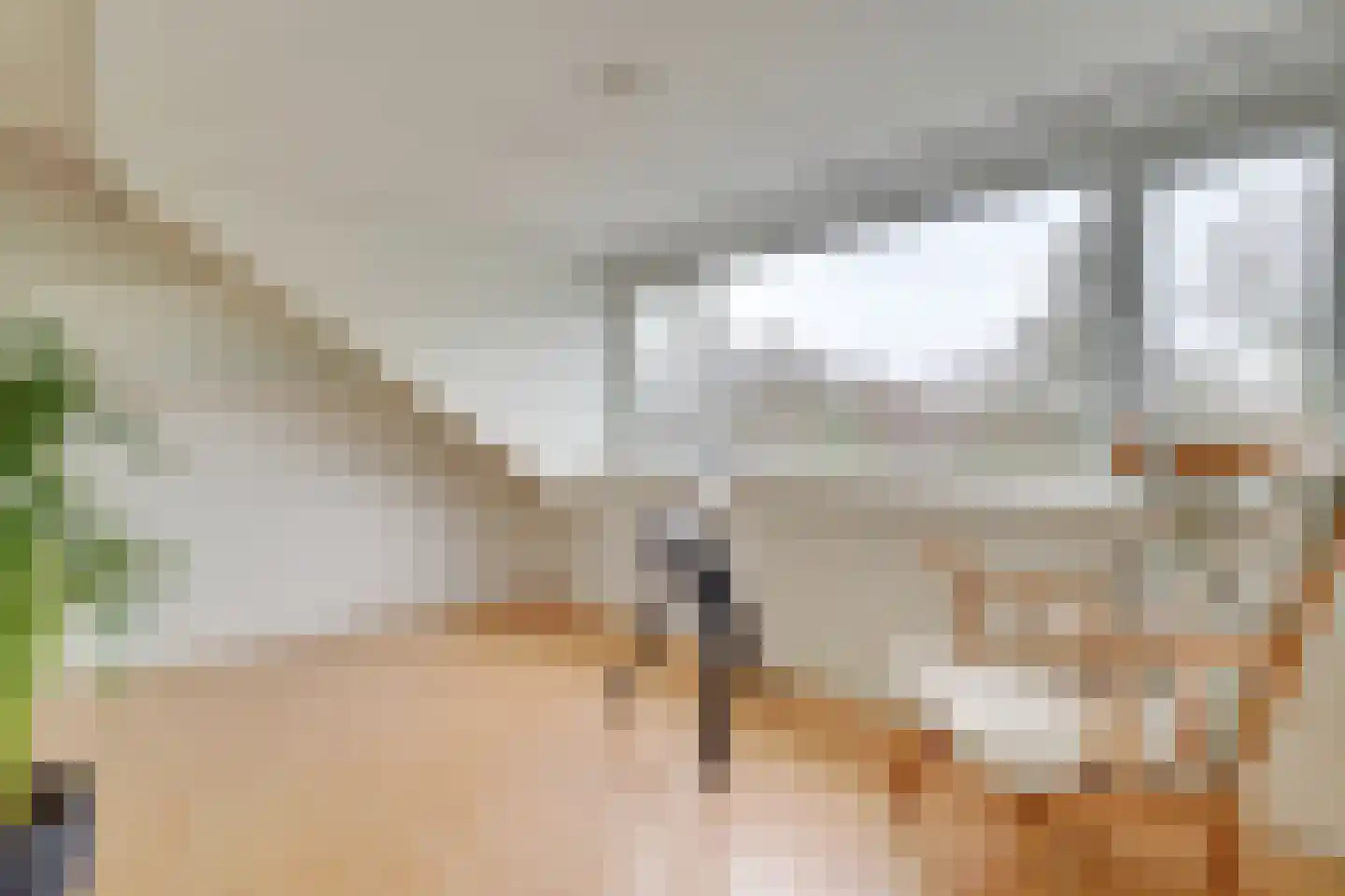 Velduil 20 Nieuwegein thumbnail 34