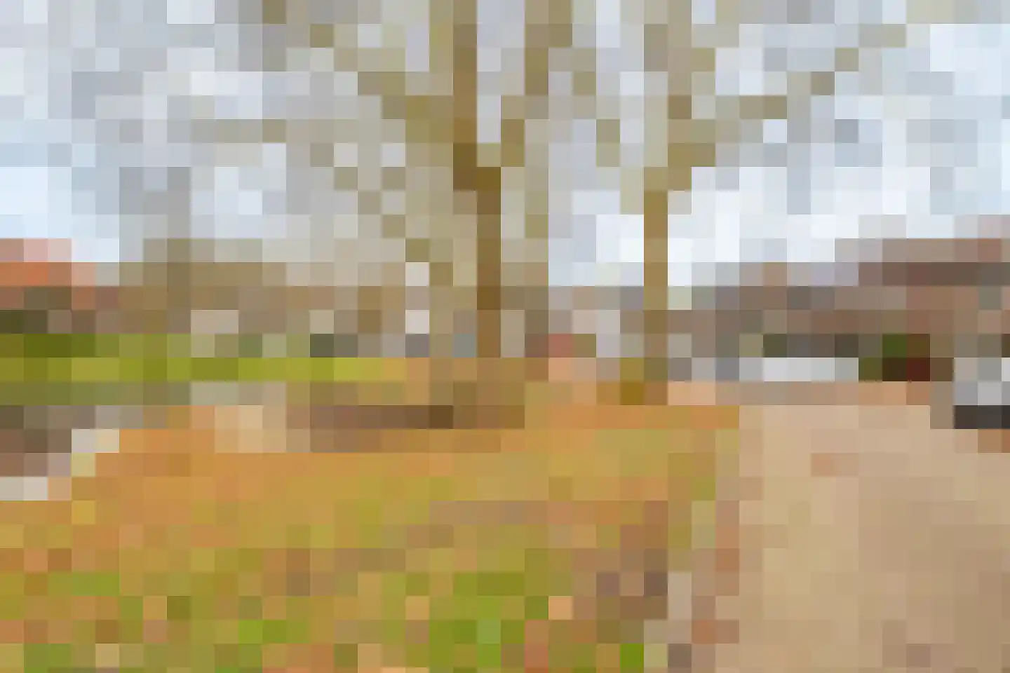Velduil 20 Nieuwegein thumbnail 36