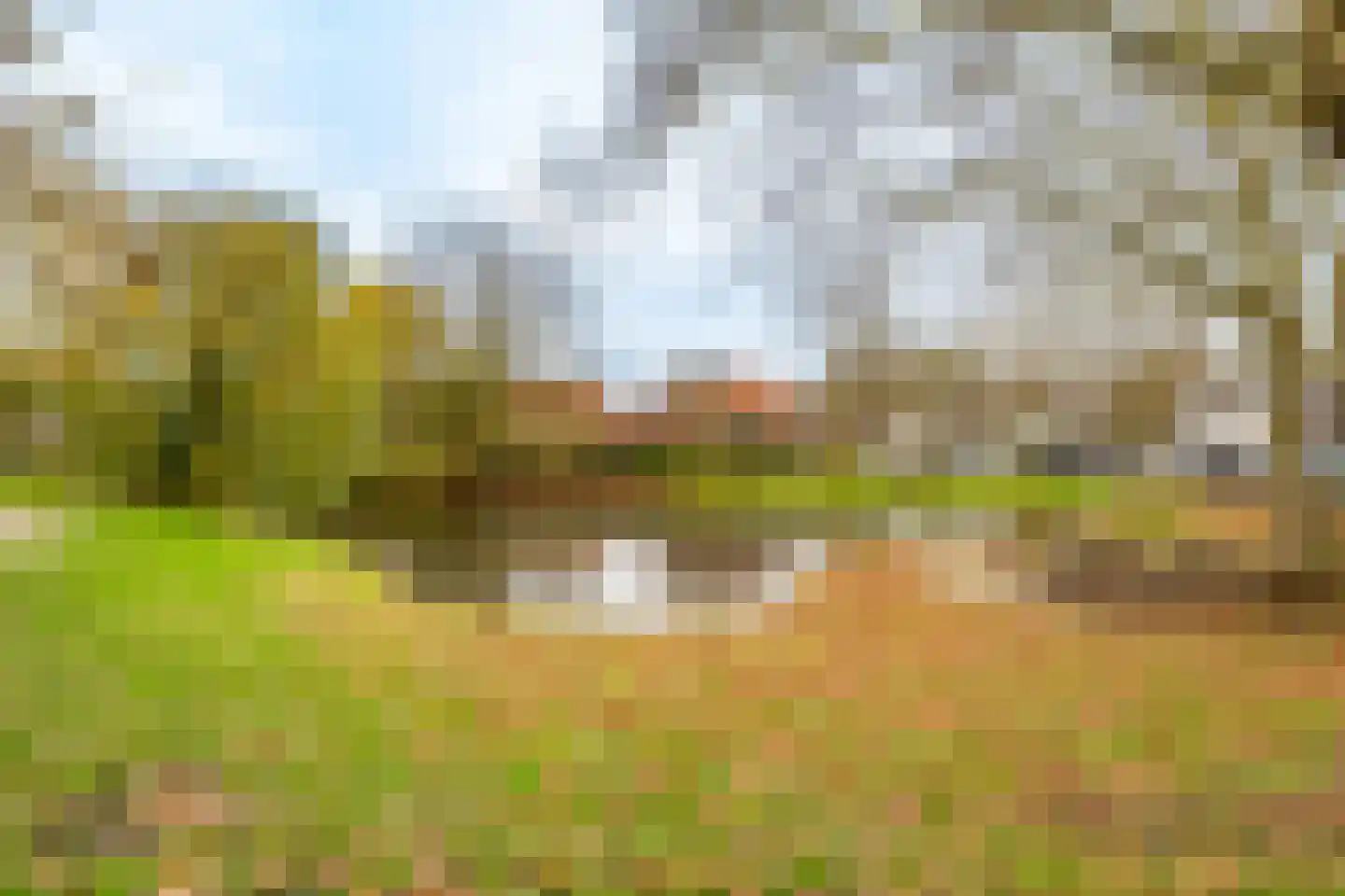 Velduil 20 Nieuwegein thumbnail 37