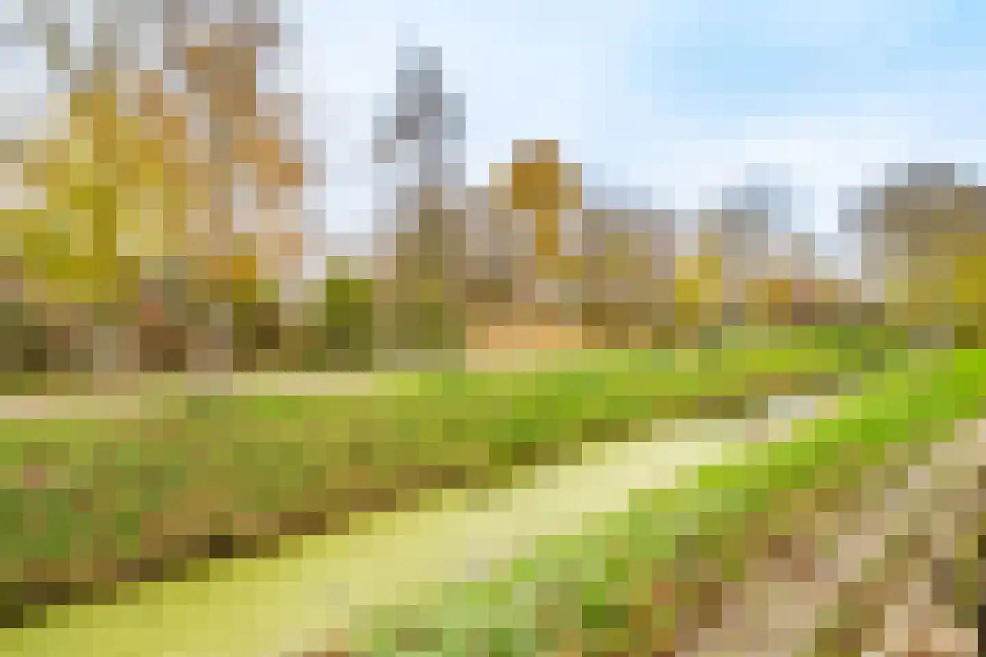 Velduil 20 Nieuwegein thumbnail 38