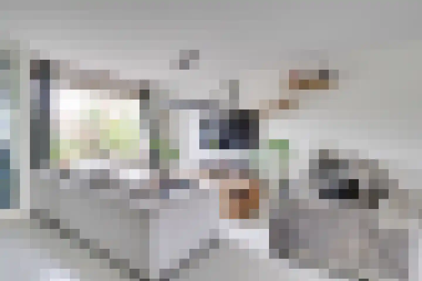 Velduil 20 Nieuwegein thumbnail 9