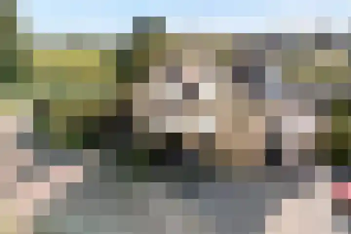 Velduil 22 in Raalte