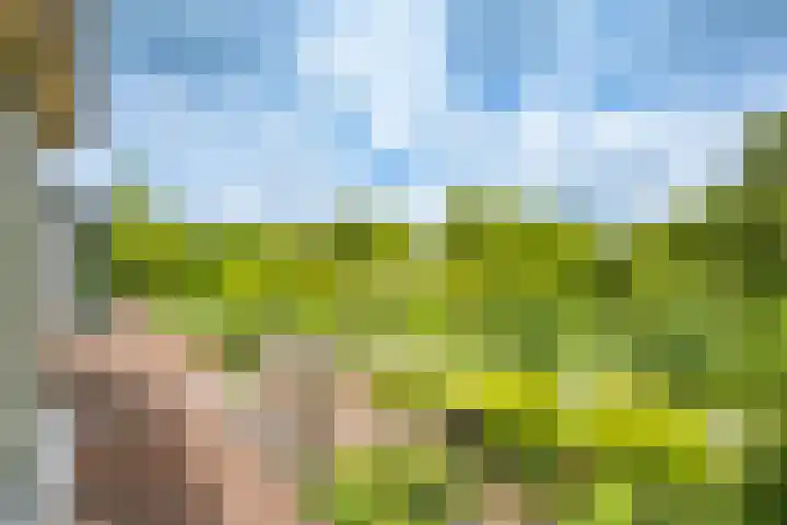 Velduil 22 Nieuwegein thumbnail 31