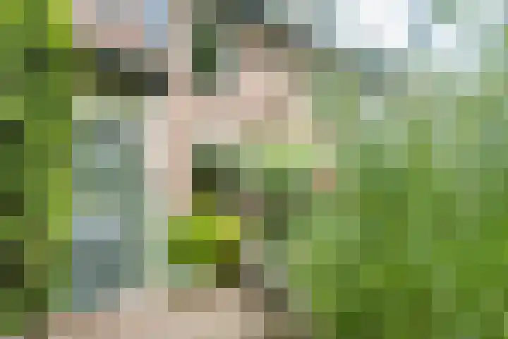Velduil 22 Nieuwegein thumbnail 32