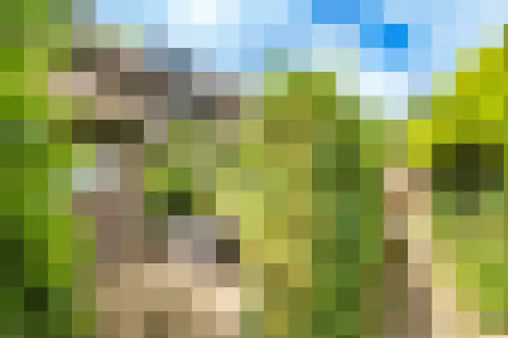 Velduil 22 Nieuwegein thumbnail 33