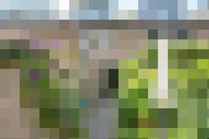Velduil 22 Nieuwegein thumbnail 34